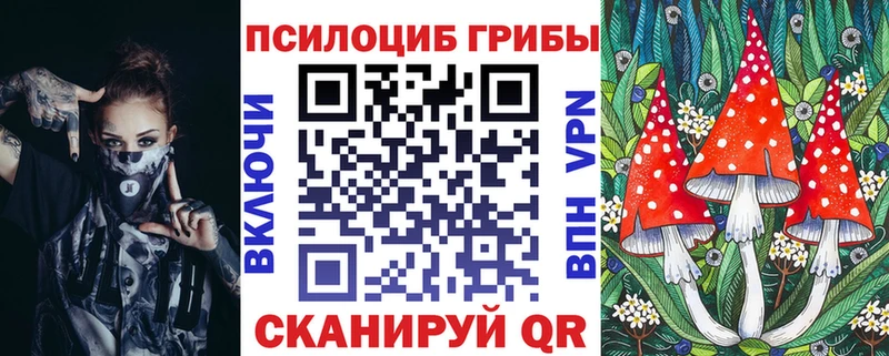 ОМГ ОМГ как войти Соль-Илецк Галлюциногенные грибы GOLDEN TEACHER